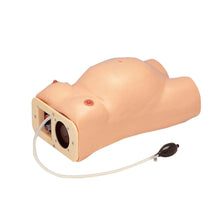 Schwangerschaftsuntersuchungs-Modell mit Bauch-/Brust-Attrappe und Kabelbox