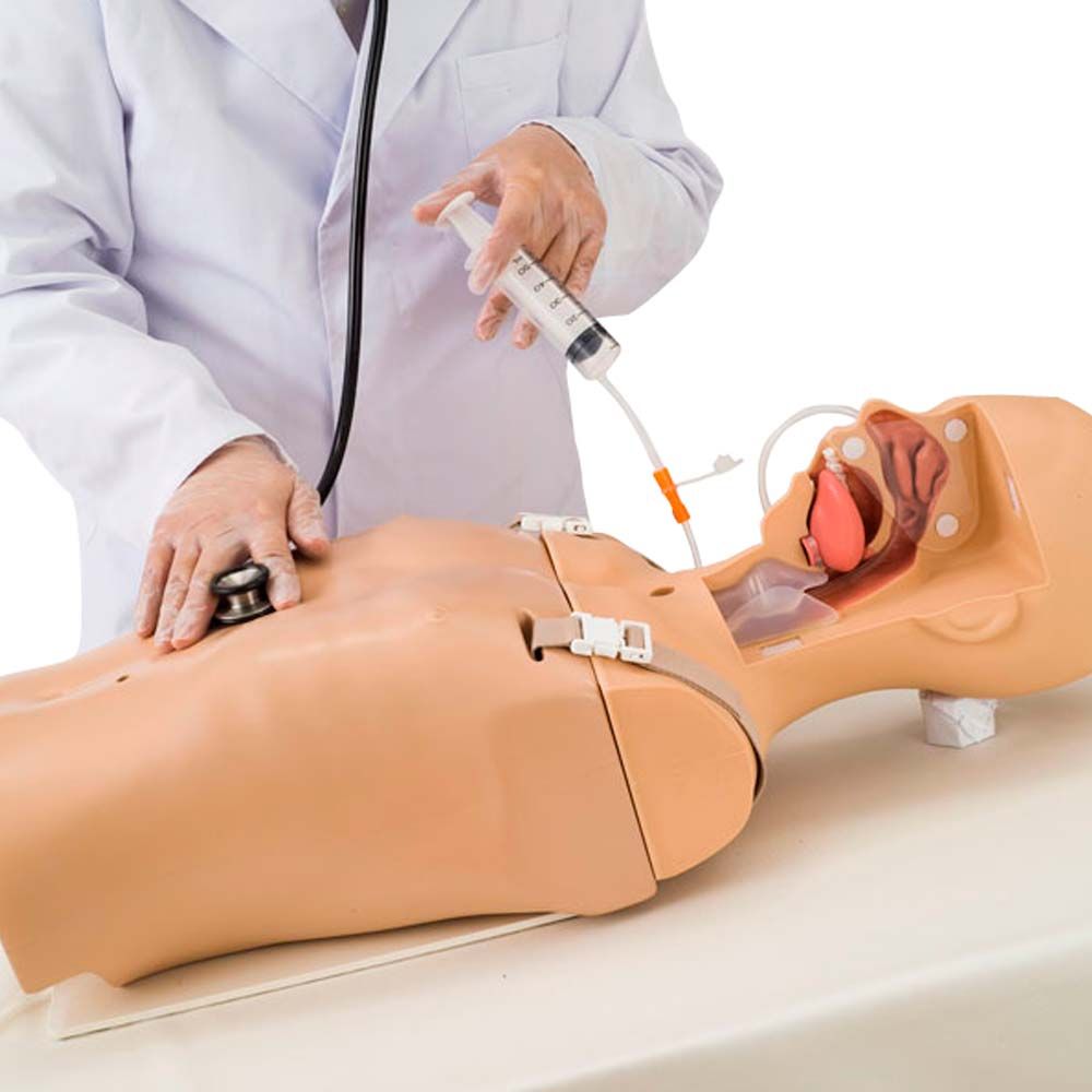 Erler Zimmer Übungsmodell im Training: Personal führt Sonde am Torso ein