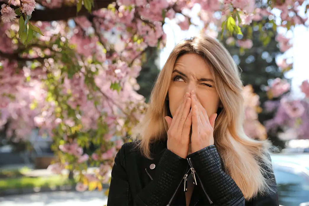 Der Heuschnupfen kann Frühling und Sommer zu Qual machen